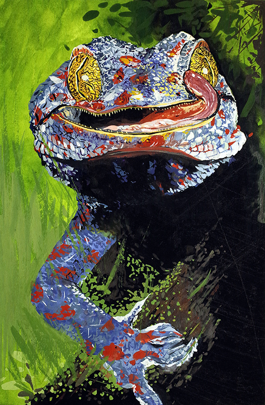 蜥蜴.jpg 蜥蜴.jpg