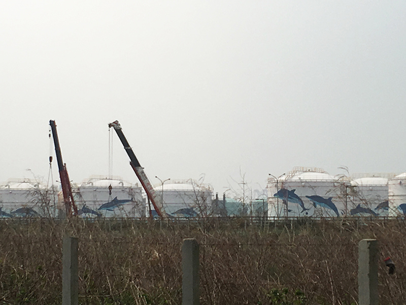 2016-02-29八里騎車032.jpg 2016-02-29八里騎車032.jpg