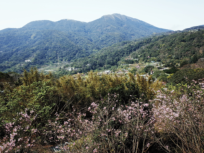 2016-03-06陽明山008.jpg