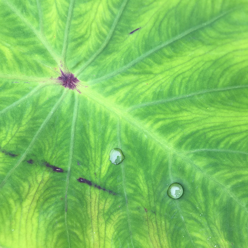 2016-03-13i6s種田009.jpg 2016-03-13i6s種田009.jpg