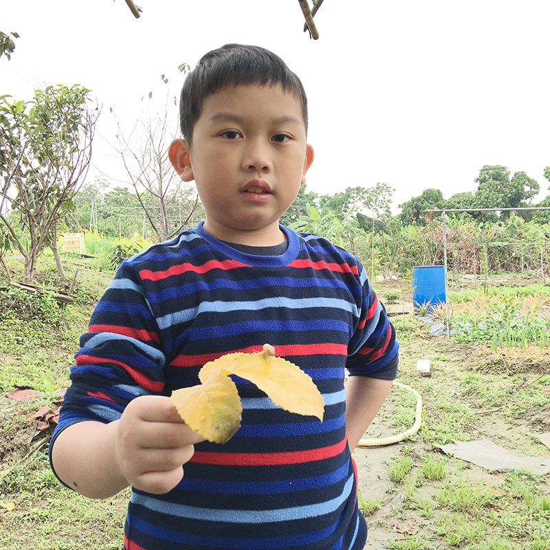 2016-03-13i6s種田008.jpg 2016-03-13i6s種田008.jpg