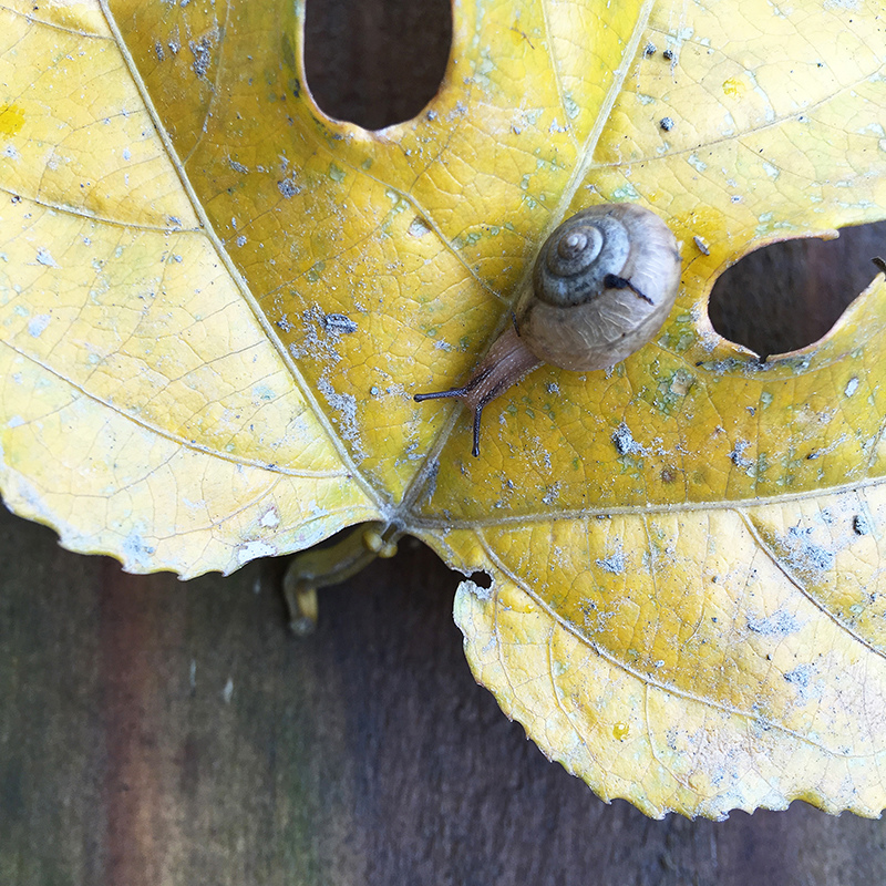 2016-03-13i6s種田007.jpg 2016-03-13i6s種田007.jpg