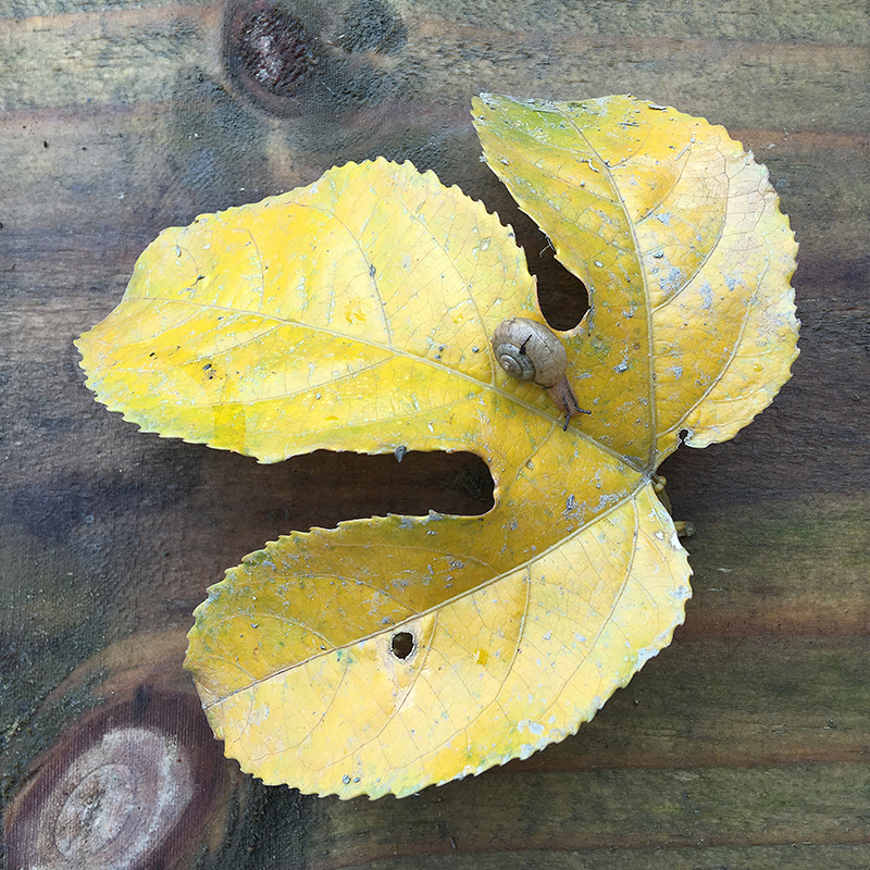 2016-03-13i6s種田006.jpg 2016-03-13i6s種田006.jpg