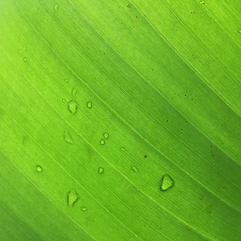 2016-03-13i6s種田013.jpg 2016-03-13i6s種田013.jpg