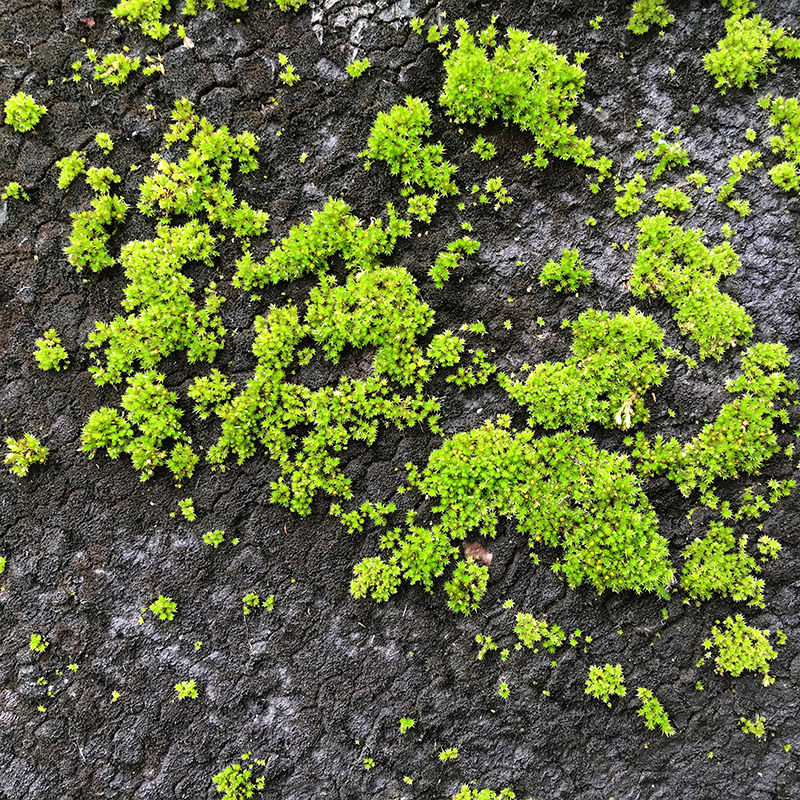 2016-03-13i6s種田015.jpg 2016-03-13i6s種田015.jpg