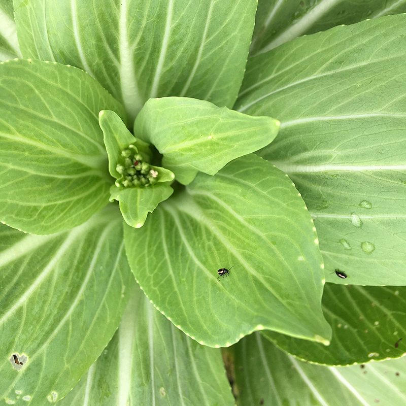 2016-03-13i6s種田021.jpg 2016-03-13i6s種田021.jpg