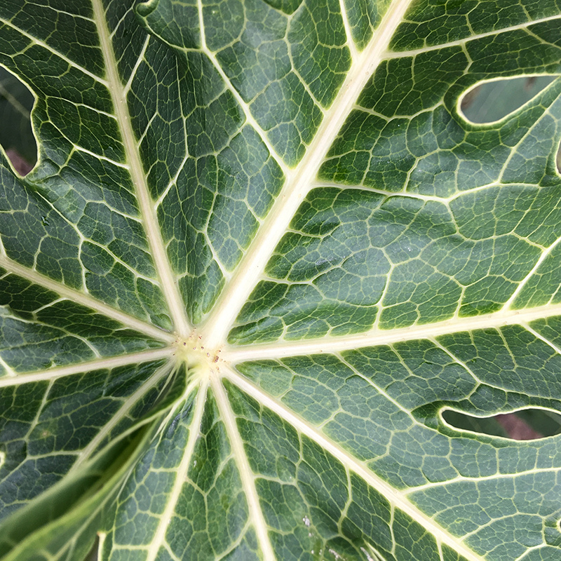 2016-03-13i6s種田020.jpg 2016-03-13i6s種田020.jpg