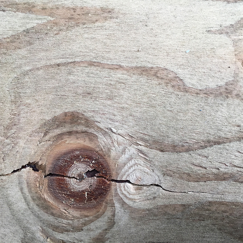 2016-03-13i6s種田025.jpg 2016-03-13i6s種田025.jpg