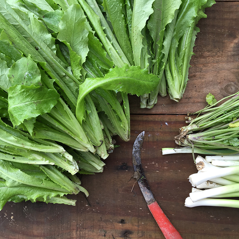 2016-03-13i6s種田027.jpg 2016-03-13i6s種田027.jpg