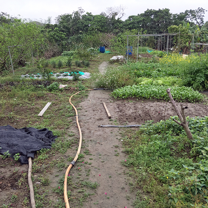 2016-03-13i6s種田024.jpg 2016-03-13i6s種田024.jpg