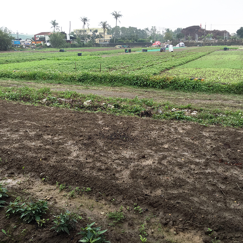 2016-03-13i6s種田029.jpg 2016-03-13i6s種田029.jpg