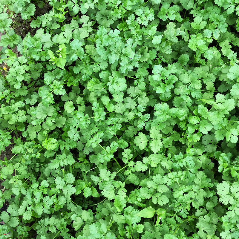 2016-03-13i6s種田023.jpg 2016-03-13i6s種田023.jpg