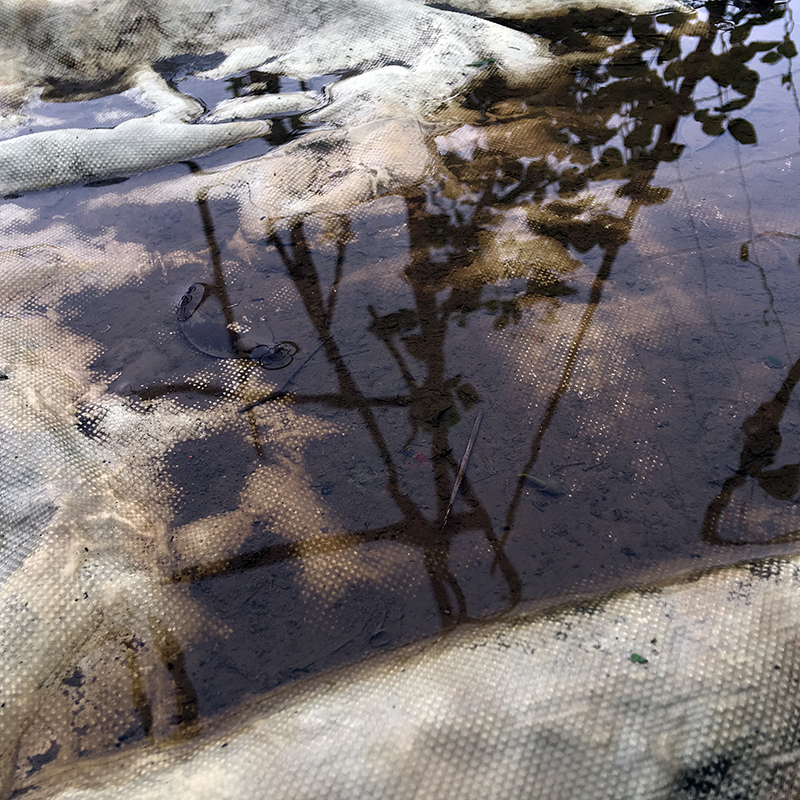 2016-03-13i6s種田030.jpg 2016-03-13i6s種田030.jpg