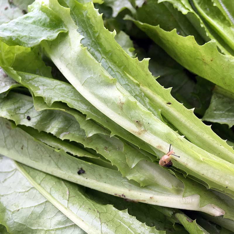 2016-03-13i6s種田032.jpg 2016-03-13i6s種田032.jpg