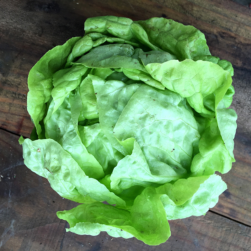 2016-03-13i6s種田031.jpg 2016-03-13i6s種田031.jpg