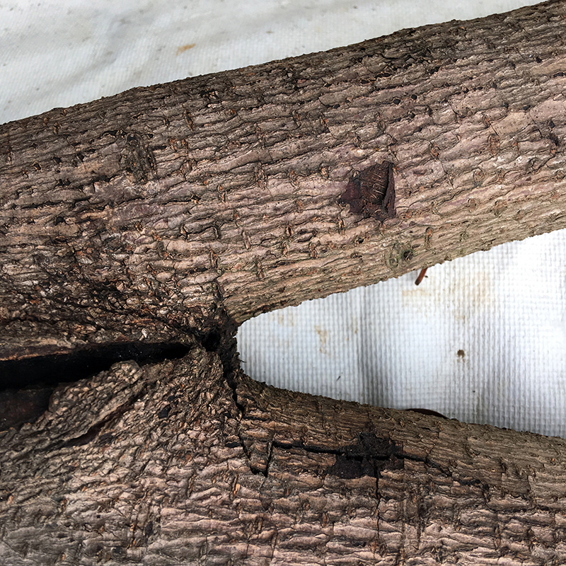 2016-03-13i6s種田034.jpg 2016-03-13i6s種田034.jpg