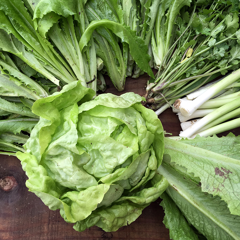 2016-03-13i6s種田033.jpg 2016-03-13i6s種田033.jpg