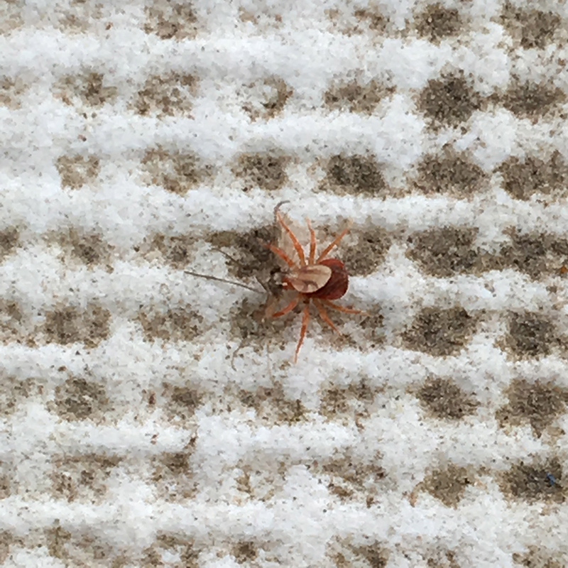 2016-03-13i6s種田037.jpg 2016-03-13i6s種田037.jpg