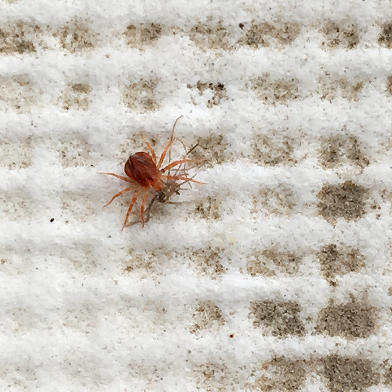 2016-03-13i6s種田036.jpg 2016-03-13i6s種田036.jpg