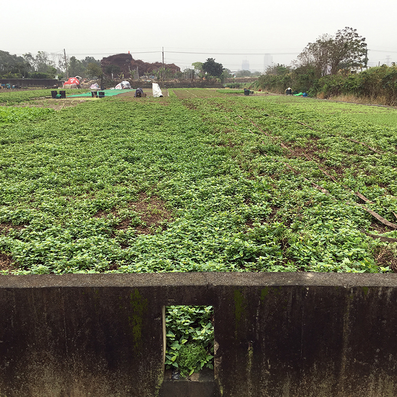 2016-03-13i6s種田039.jpg 2016-03-13i6s種田039.jpg