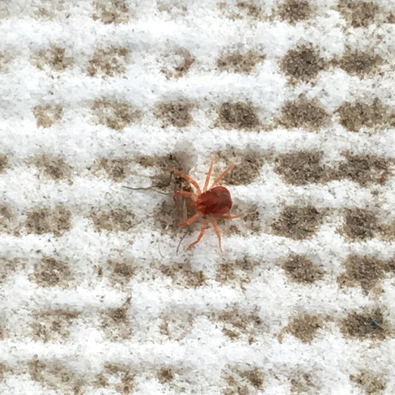 2016-03-13i6s種田038.jpg 2016-03-13i6s種田038.jpg