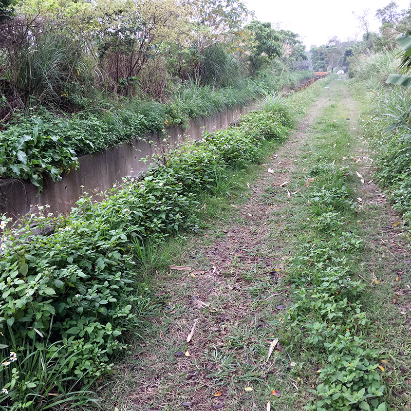 2016-03-13i6s種田041.jpg 2016-03-13i6s種田041.jpg