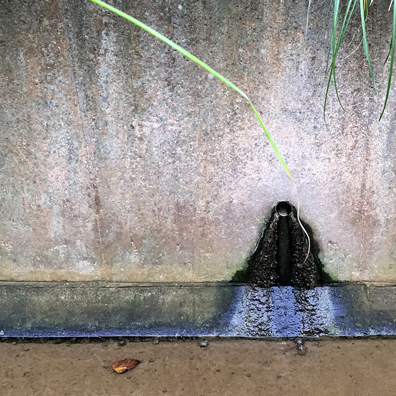 2016-03-13i6s種田042.jpg 2016-03-13i6s種田042.jpg