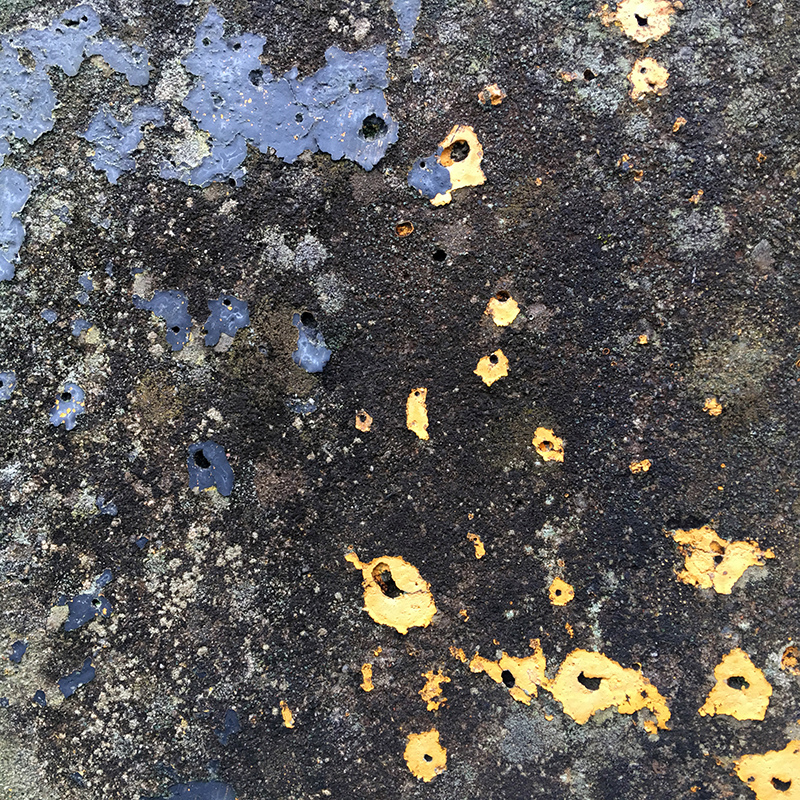 2016-03-13i6s種田043.jpg 2016-03-13i6s種田043.jpg