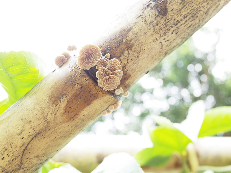 2016-03-13種田019.jpg 2016-03-13種田019.jpg