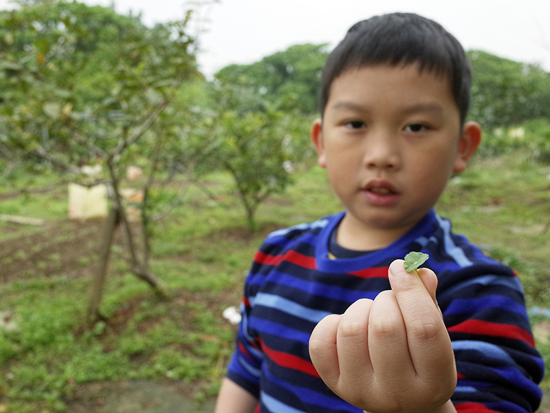 2016-03-13種田022.jpg 2016-03-13種田022.jpg