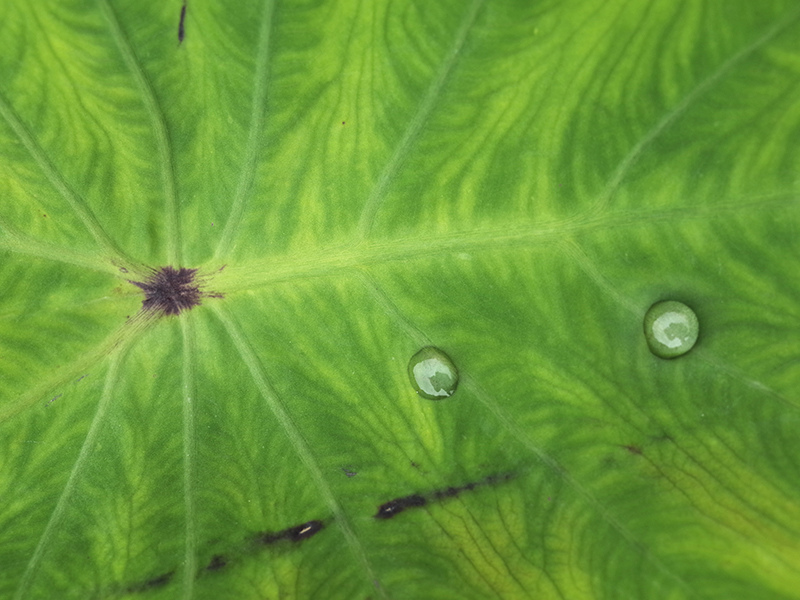 2016-03-13種田024.jpg 2016-03-13種田024.jpg