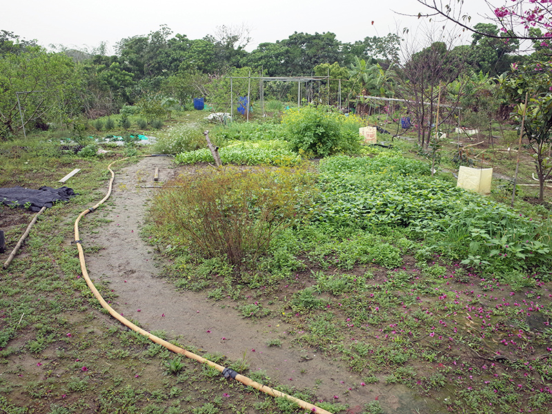 2016-03-13種田017.jpg 2016-03-13種田017.jpg