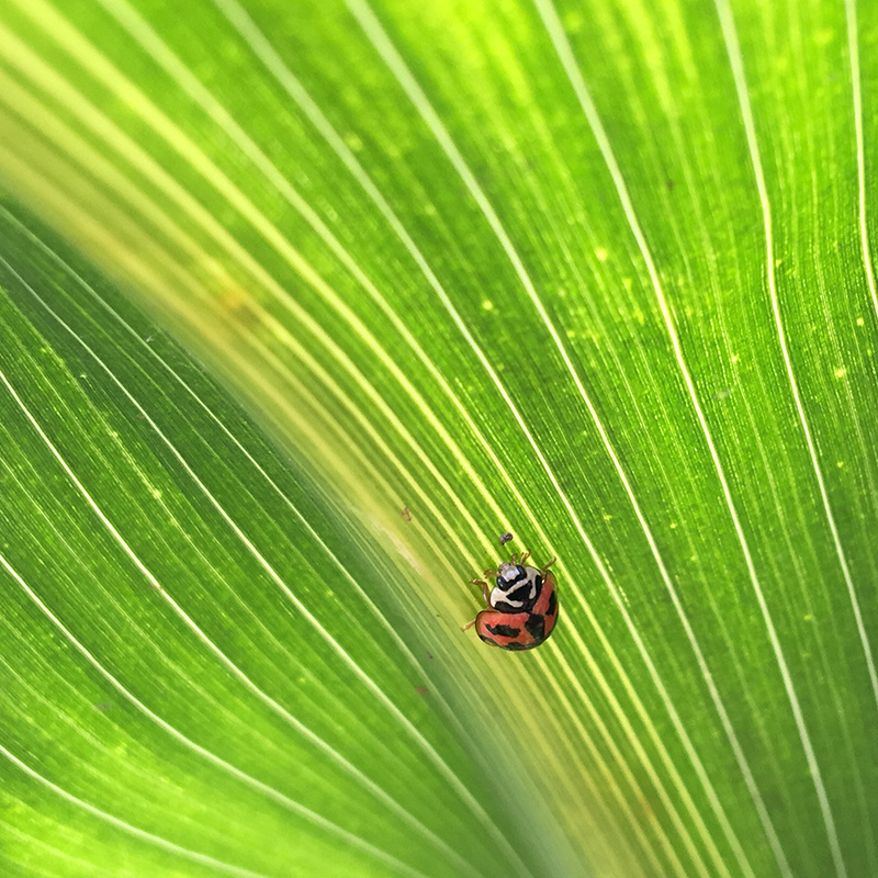 2016-03-26除草006.jpg 2016-03-26除草006.jpg
