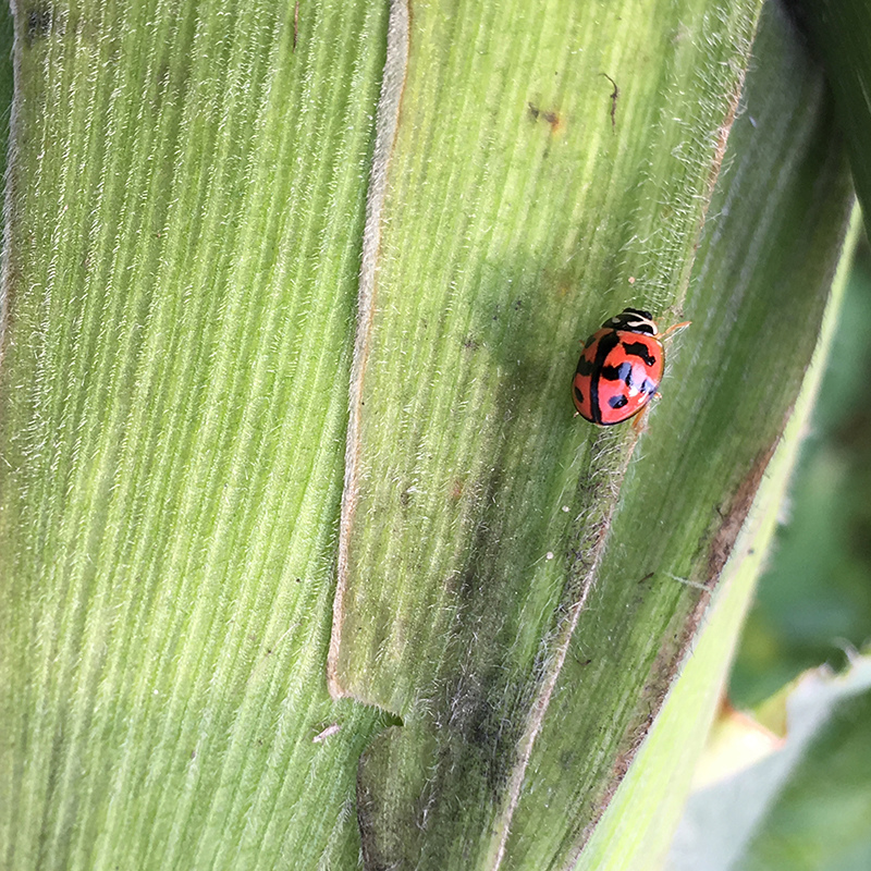 2016-03-26除草003.jpg 2016-03-26除草003.jpg