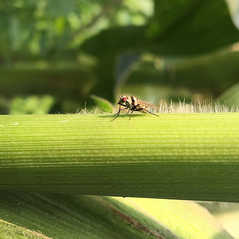 2016-03-26除草011.jpg 2016-03-26除草011.jpg
