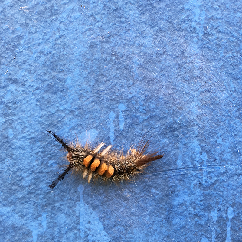 2016-03-26除草012.jpg 2016-03-26除草012.jpg