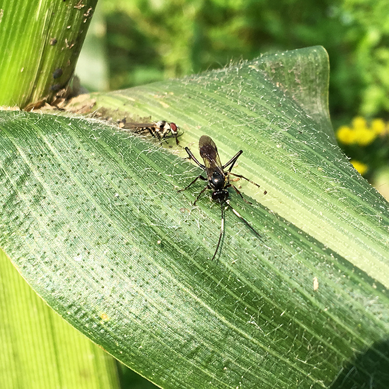 2016-03-26除草014.jpg 2016-03-26除草014.jpg