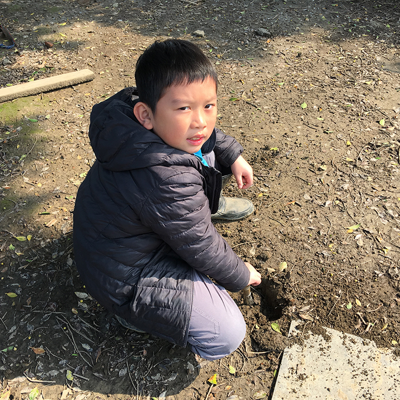 2016-03-26除草030.jpg 2016-03-26除草030.jpg