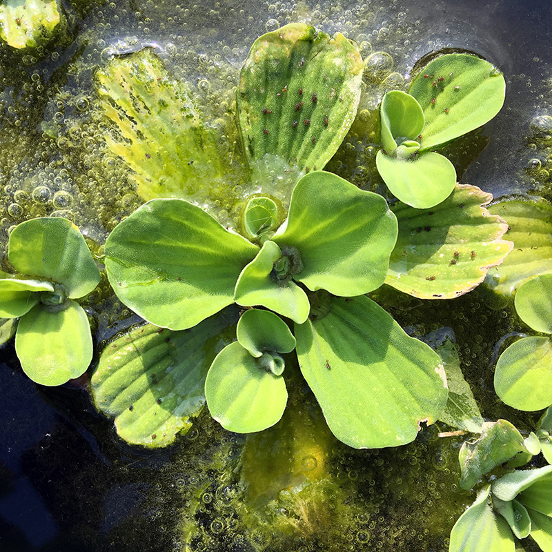 2016-03-26除草035.jpg 2016-03-26除草035.jpg