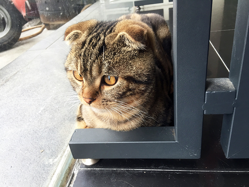 2016-04-30回南部001.jpg 2016-04-30回南部001.jpg