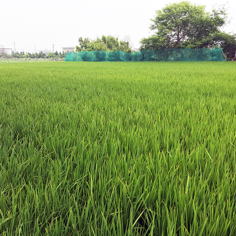 2016-04-30回南部002.jpg 2016-04-30回南部002.jpg