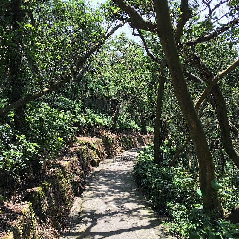 2016-05-29碧山巖026.jpg 2016-05-29碧山巖026.jpg