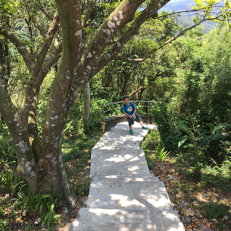 2016-05-29碧山巖034.jpg 2016-05-29碧山巖034.jpg