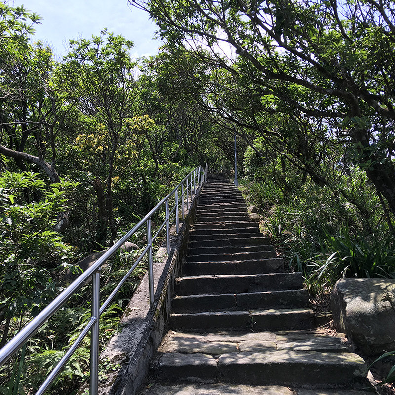 2016-05-29碧山巖043.jpg 2016-05-29碧山巖043.jpg