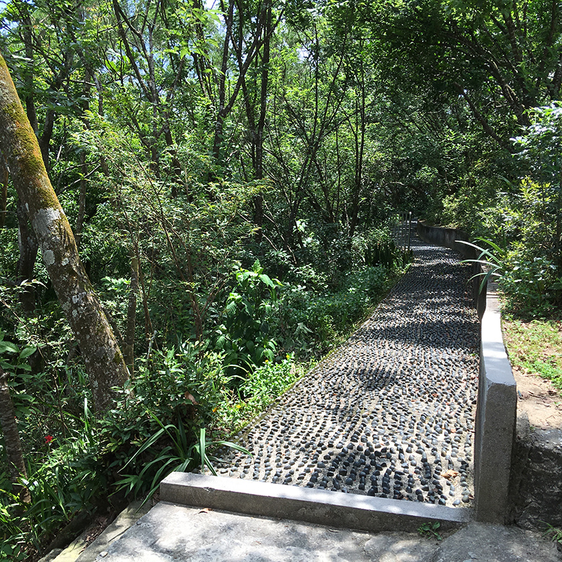 2016-05-29碧山巖047.jpg 2016-05-29碧山巖047.jpg