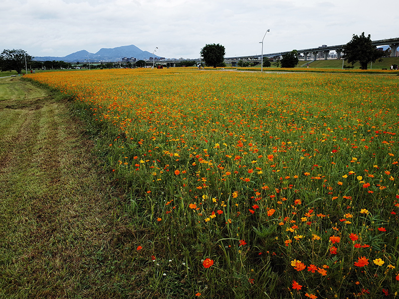 2016-06-12騎車013.jpg 2016-06-12騎車013.jpg