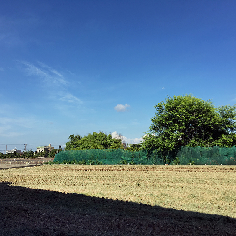 2016-06-24回南部001.jpg 2016-06-24回南部001.jpg