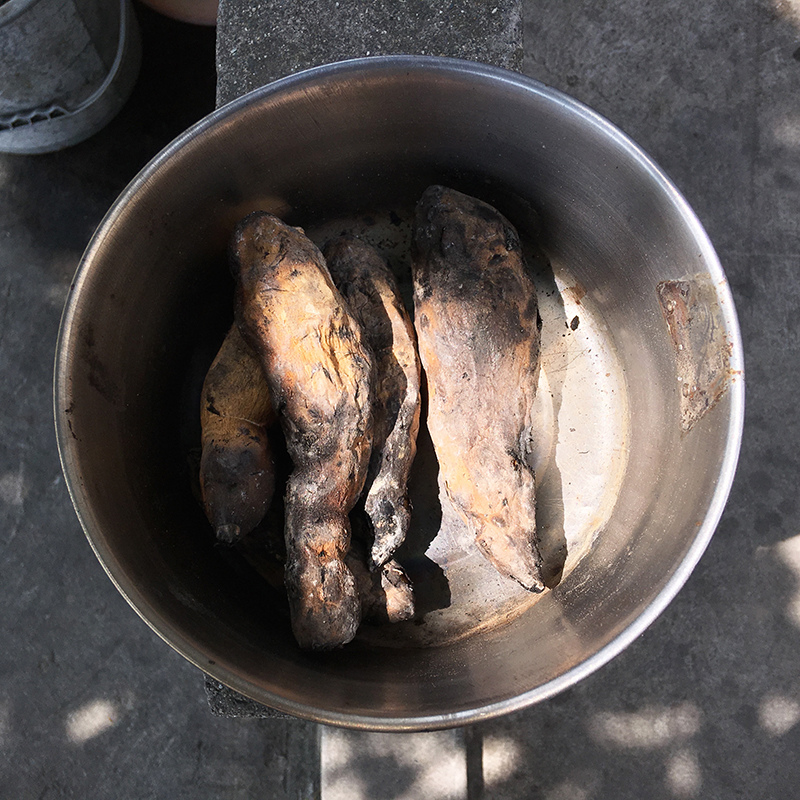 2016-06-24回南部013.jpg 2016-06-24回南部013.jpg