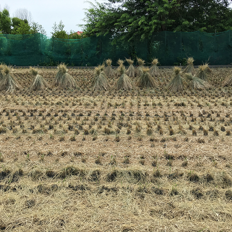 2016-06-24回南部010.jpg 2016-06-24回南部010.jpg