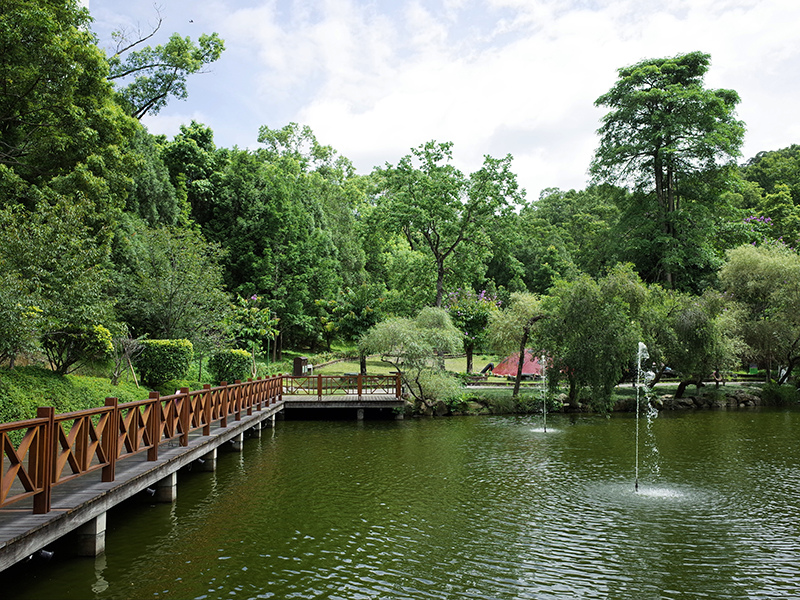 2016-07-10東勢林場012.jpg 2016-07-10東勢林場012.jpg